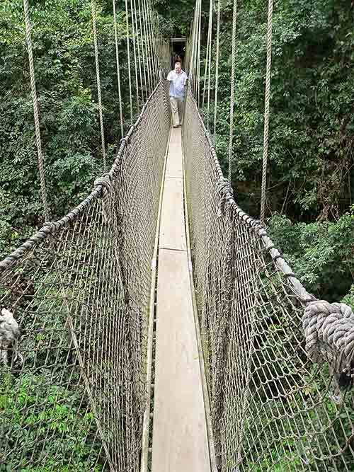 Lampion Bridge